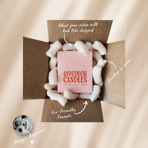 Regalo divertido para compañeros de trabajo, regalo de Navidad para compañeros de trabajo, regalo de despedida para compañeros de trabajo, regalo de despedida para compañeros de trabajo, mejor amigo del trabajo, regalo de despedida, regalo de vela divertida imagen 8