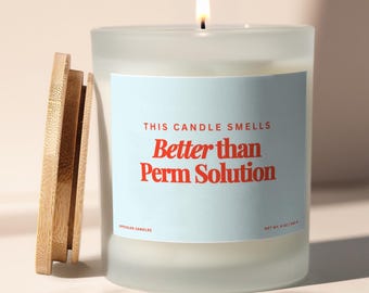 Regalo divertido para estilistas, regalo de cosmetología, regalo para peluqueras, regalo de peluquería, regalo de graduación para esteticistas, vela para peluqueras