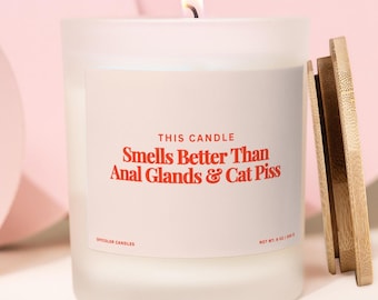 Smells Better Than Cat Piss, Funny Candle for Vet, Vet Tech Gifts, Gifts for Cat Mom, Cat Lover Funny Gift, Funny Veterinarian Gift