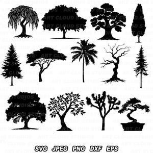 Tree SVG Bundle, Forest Png, Woods Cut Files, Spruce Pine Willow Palm Silhouette Digital Download Clipart Laser, Unlimited Commercial Use.