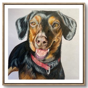 Hand drawn Pencil Portrait of Pet
