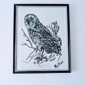 May include: Black and white framed print of a Barn Owl illustration. The owl is perched on a branch, with detailed shading and the text "Barn Owl, Tyto alba" and the artist's signature. The frame is black with a silver inner edge.