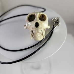 Rhesus Macaque Monkey skull Necklace Museum quality replica, a fully anatomically correct 3D resin euromount Pendant bone Jewerly bone color image 8