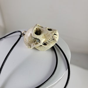 Collier crâne de singe macaque rhésus Réplique de qualité musée, un pendentif euromount en résine 3D entièrement anatomiquement correct Bijoux en os couleur os image 9