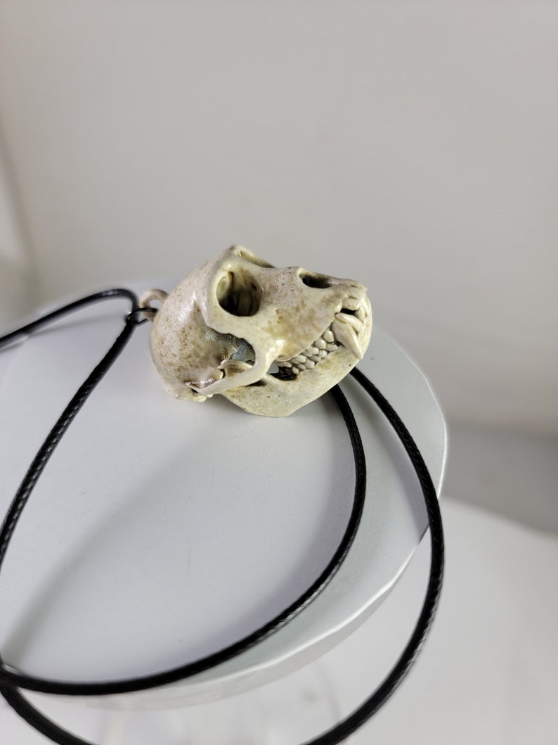 Collier crâne de singe macaque rhésus Réplique de qualité musée, un pendentif euromount en résine 3D entièrement anatomiquement correct Bijoux en os couleur os image 9