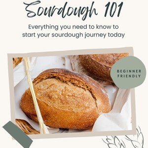 Sourdough 101 Course | How to | Beginner Sourdough | Cookbook | Recipes