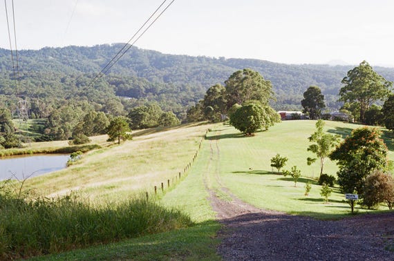 Yashica FXD Film Camera & 50mm f/2 Lens