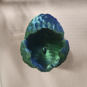 Peau d&#39;oeuf de dragon 3D - grande