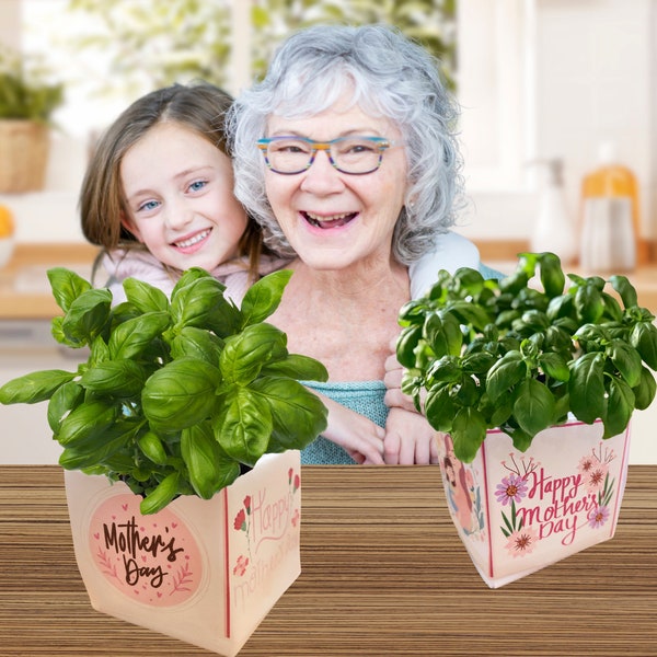 Lets grow together, basil plant kit, clever mothers day gift for coolest grandma. Gift for mom, grandma, great grandma. Quality time gifts.