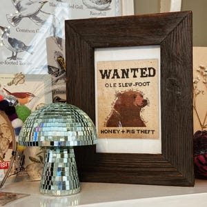 May include: A framed cross-stitch design with a vintage "Wanted" poster featuring a cartoon bear with the text "Ole Slew-Foot" and "Honey + Pig Theft".