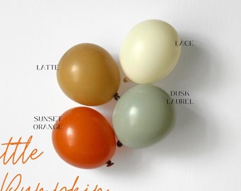 DIY Balloon Garland Kit|Latte Lace Orange Laurel Balloon Arch Birthday Party Decor, Baby Shower, Bridal, Bachelorette Wedding|Little Pumpkin