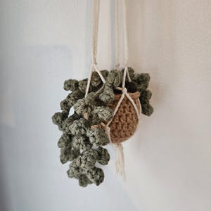 May include: A handmade crochet plant holder with a trailing green plant. The plant is suspended by a cream-colored macrame hanger. The pot is a small, brown crochet basket. The plant's leaves are a muted green.