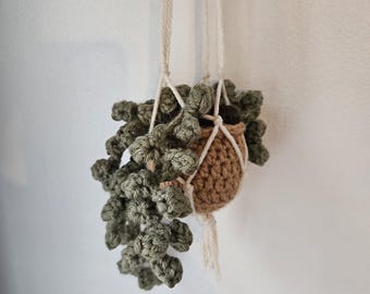 Crochet String of Pearls Hanging Plant - Potted Succulent Decor