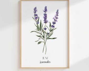 June Birth Flower Lavender Print: Minimalist Floral Wall Art (digital  Download) - Etsy Israel