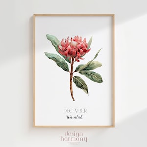 Póster de la flor de nacimiento de Waratah de diciembre, arte mural botánico australiano imprimible, regalo de descarga digital para mamá o ella