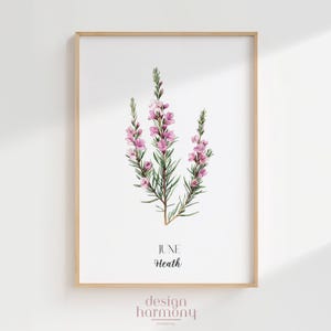 Juni Heath Geburtsblume Poster, australische botanische Wandkunst druckbare, digitale Download Geschenk, Wildblumen Kunst für Mama oder Sie