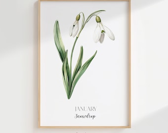January Snowdrop Birth Flower Art: Minimalist Botanical Print (Digital Download)
