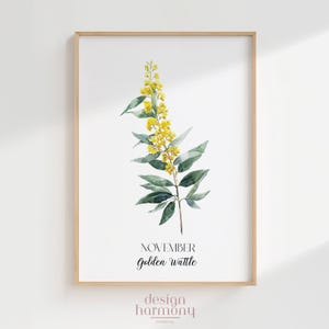 Póster de flor de nacimiento de acacia dorada de noviembre, arte mural botánico australiano imprimible, regalo de descarga digital para mamá o para ella