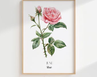 June Rose Birth Flower Art: Minimalist Botanical Print (Digital Download)