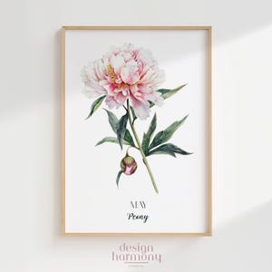 Póster de peonía con la flor de nacimiento de mayo: descarga digital imprimible, arte mural alternativo del mes de nacimiento, regalo floral minimalista para ella