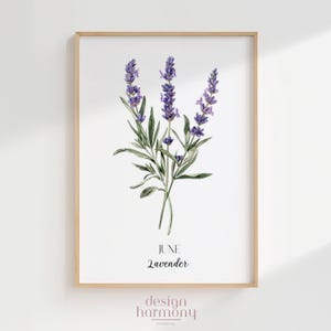 Juni Geburtsblume Lavendel Poster - druckbare digitaler Download, Alternative Geburtsmonat Wandkunst, minimalistisches Blumengeschenk für Sie