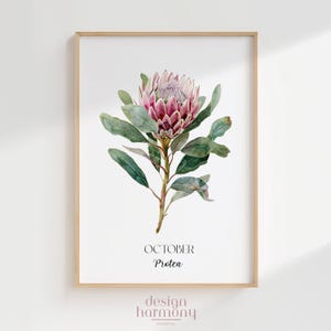 Póster de flor de protea de octubre - Arte mural botánico australiano imprimible, descarga digital, regalo, decoración infantil, arte floral