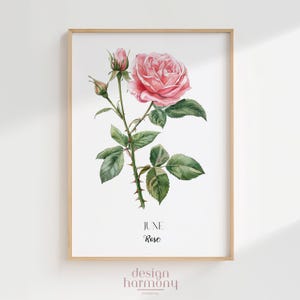 Póster de rosa de nacimiento de junio, arte floral minimalista para pared, regalo imprimible para el mes de nacimiento para ella o mamá, decoración botánica para pared, descarga digital