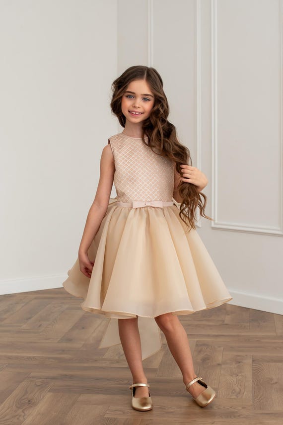 comfy princess dresses inspired  Joy Costumes Just message us with any questions or requests Dress like a Disney Princess