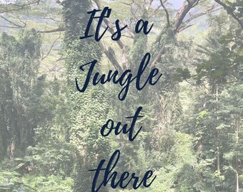 Jungle Print Decor