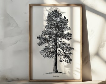 Jeffery Pine Wall Art Pine Tree Wall Decor Rustic Tree Art Sketch Pencil Art Print Rustic Decor For Home Poster Print Jeffery Pine