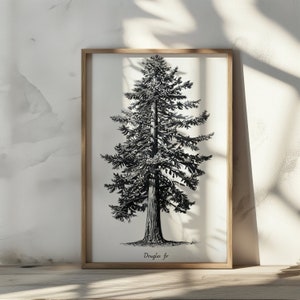 Douglasie Wand Kunst Kiefer Wand Dekor Kiefer Skizze Druck Wohnkultur Bleistift gezeichnet Kunstdruck Rustikale Einrichtung Haus Poster Druck Douglasie