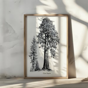 Arte de pared de sequoia gigante Decoración de pared de sequoia Arte de árbol rústico Boceto de arte Decoración del hogar Impresión de arte a lápiz Decoración rústica para el hogar Impresión de póster de sequoia