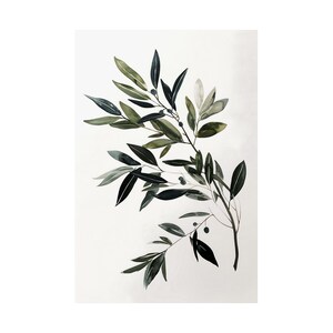 Dipinto di ramo d'ulivo, arte murale verde, decorazione murale di ramo d'ulivo, arte di ramo d'ulivo, decorazione rustica per la casa, stampa artistica ad acquerello, poster moderno per la casa