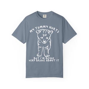 Camiseta "Me duele la barriga", "Amante de los gatos", "Enfermedad crónica", "SII", "Enfermedad crónica", "Síndrome del intestino irritable", "Enfermedades crónicas", "Síndrome de Tourette", "Eds", "Fibromialgia", "SII" Blue Jean