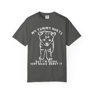 Camiseta "Me duele la barriga", "Amante de los gatos", "Enfermedad crónica", "SII", "Enfermedad crónica", "Síndrome del intestino irritable", "Enfermedades crónicas", "Síndrome de Tourette", "Eds", "Fibromialgia", "SII" Pepper