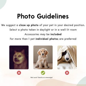 May include: Image with "Photo Guidelines" text. It suggests a close-up photo of a pet in daylight or a well-lit room. Accessories are allowed. Examples show a dog with glowing eyes, a golden retriever puppy, and a dog under a blanket.