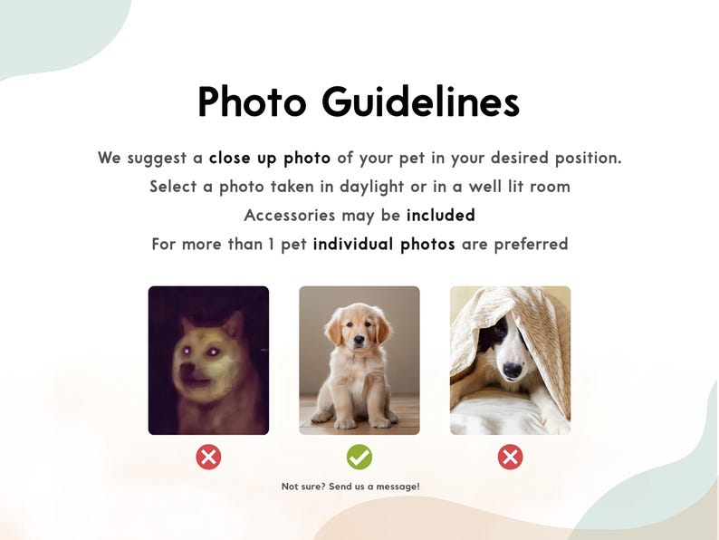May include: Image with "Photo Guidelines" text. It suggests a close-up photo of a pet in daylight or a well-lit room. Accessories are allowed. Examples show a dog with glowing eyes, a golden retriever puppy, and a dog under a blanket.