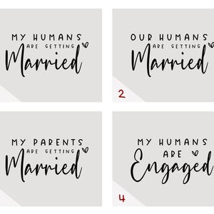 May include: Four square images with text related to weddings and engagements. The first image reads "My Humans are Getting Married". The second image reads "Our Humans are Getting Married". The third image reads "My Parents are Getting Married". The fourth image reads "My Humans are Engaged".