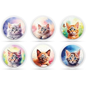 May include: Six colourful round stickers with images of kittens. Each sticker features a different kitten with a unique background and a black and white spot on its forehead.