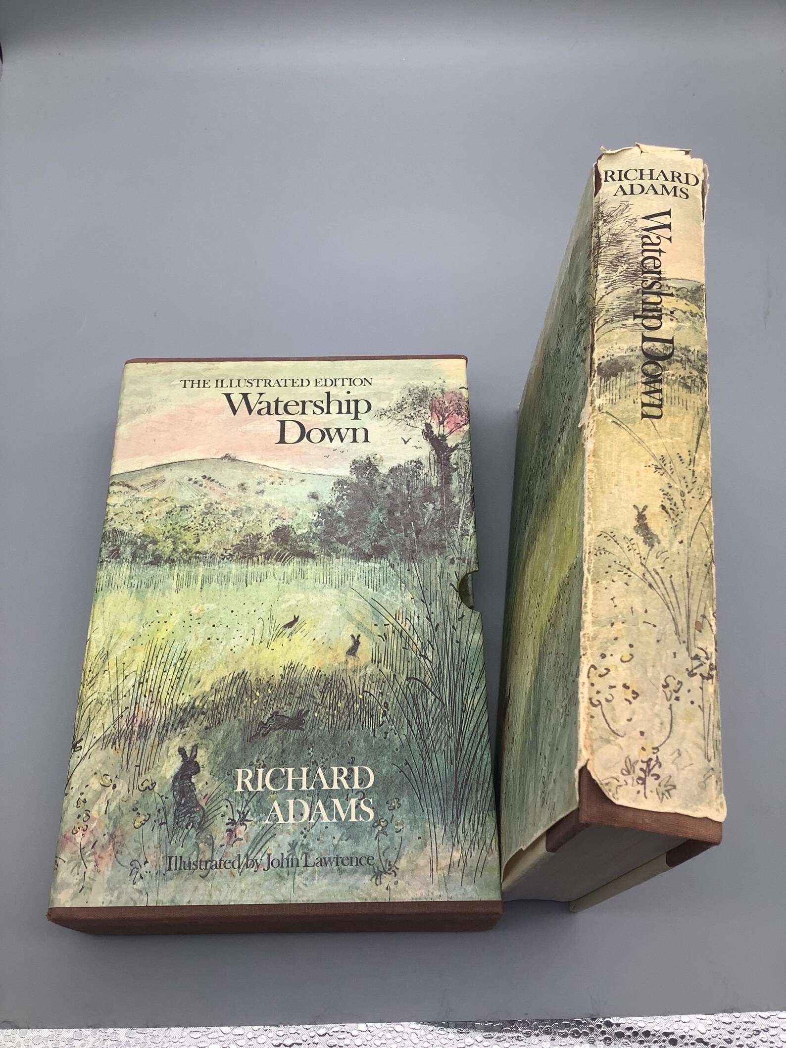 Watership Down the Illustrated Edition Etsy