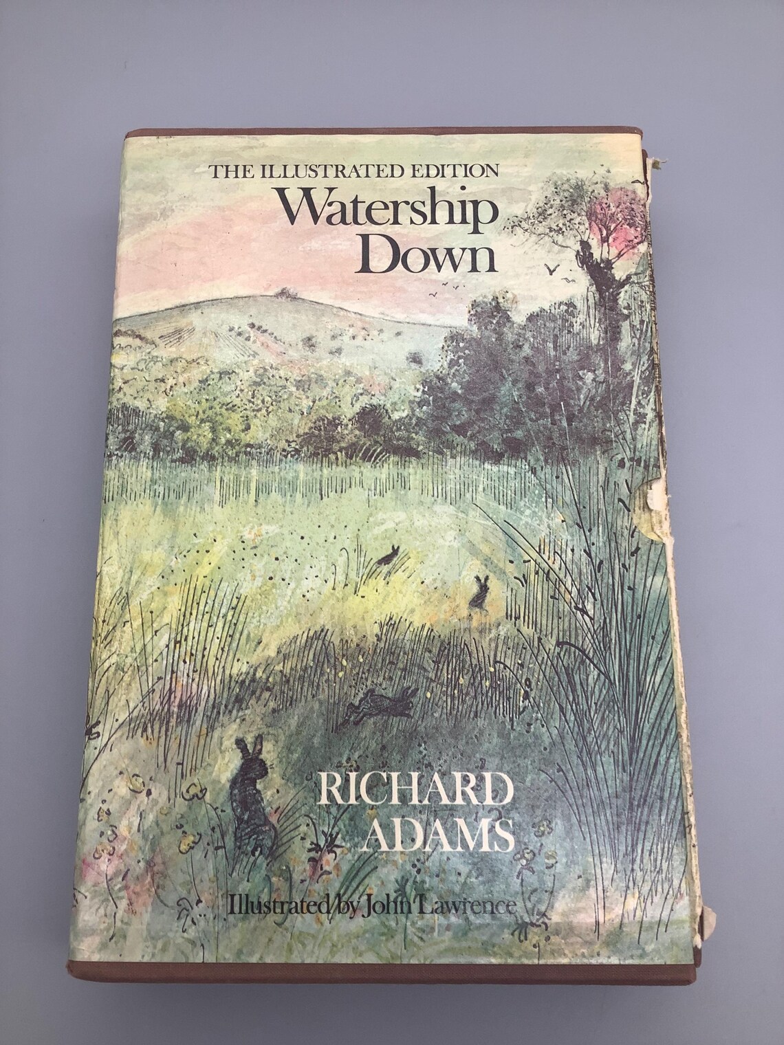 Watership Down the Illustrated Edition Etsy