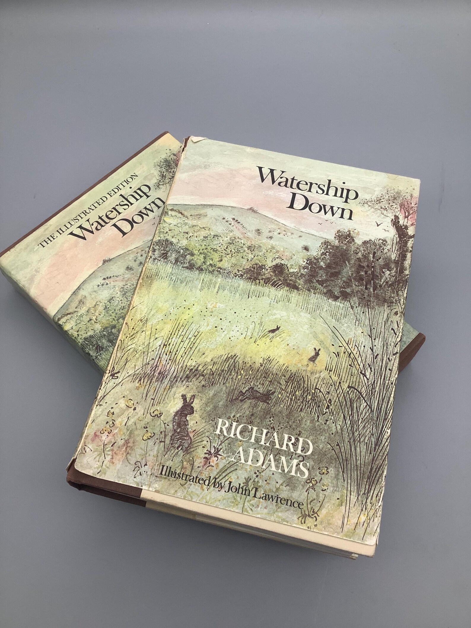 Watership Down the Illustrated Edition Etsy