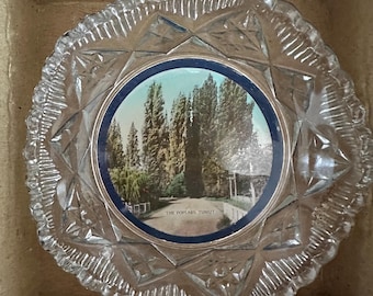 Australian Depression Glass Souvenir Plate - The Poplars, Tumut NSW - Box included