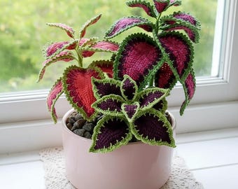Wassermelone Coleus Blatt Pflanze Häkelanleitung für Fortgeschrittene, Zimmerpflanze, DIY handgemachtes Geschenk, Gartenliebhaber