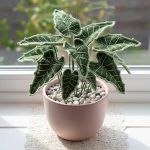 Puede incluir: Planta de ganchillo con hojas verdes oscuras y detalles blancos, en una maceta rosa claro llena de guijarros. La maceta está sobre un tapete de encaje crema. Las hojas recuerdan a una planta de Alocasia. La maceta mide unos 15 cm de diámetro.