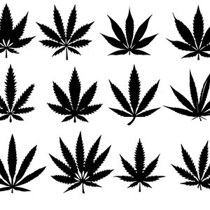 Può includere: Un set di dodici immagini in silhouette nera di foglie di marijuana. Le foglie sono disposte in una griglia, con ogni foglia rivolta in una direzione diversa.