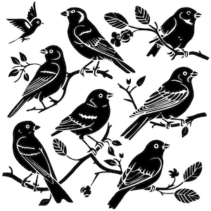Pássaro SVG, Pacote de Pássaro Svg, Pássaro Voador Svg, Animal Svg, Clip Art de Pássaro, Pardal Svg, Arquivos para Cricut, Silhueta de Pássaro, Pássaros Svg, Pássaros PNG