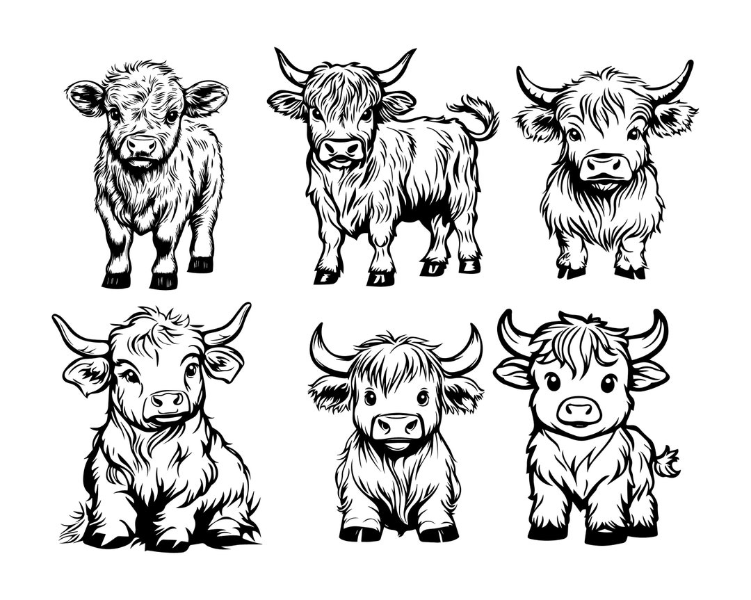 Highland Cow, Baby Cow Svg, Cow Head Svg, Highland Cow Clipart, Cow