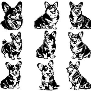 Corgis SVG, Hund Clipart, Corgis PNG, Motte SVG-Bundle, Corgis Linie Zeichnung, Schnittdatei für Cricut, Silhouette, Logo, Sublimation, schwarze Umrandung