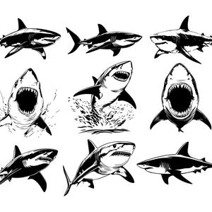 Shark svg Bundle, Shark svg png, Shark Silhouette, Shark Bundle svg, Shark Cricut, Shark Cut File For Cricut, Digital Download, Shark Cricut